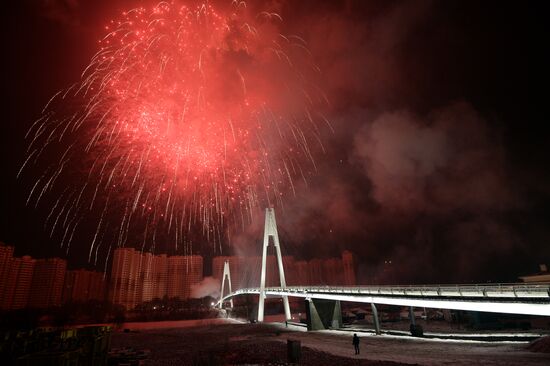Pavshinsky pedestrian bridge opens