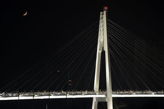 Pavshinsky pedestrian bridge opens