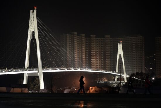 Pavshinsky pedestrian bridge opens