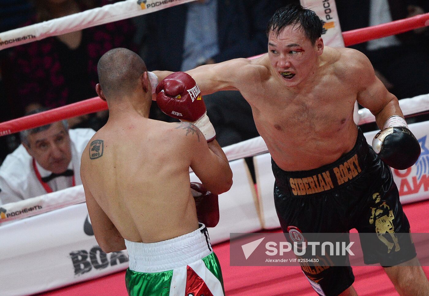 Boxing. Fight between Ruslan Provodnikov and Luis Castillo