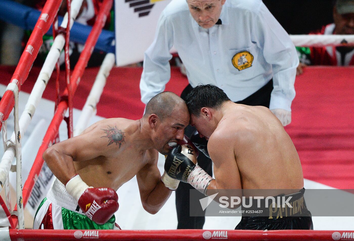 Boxing. Fight between Ruslan Provodnikov and Luis Castillo