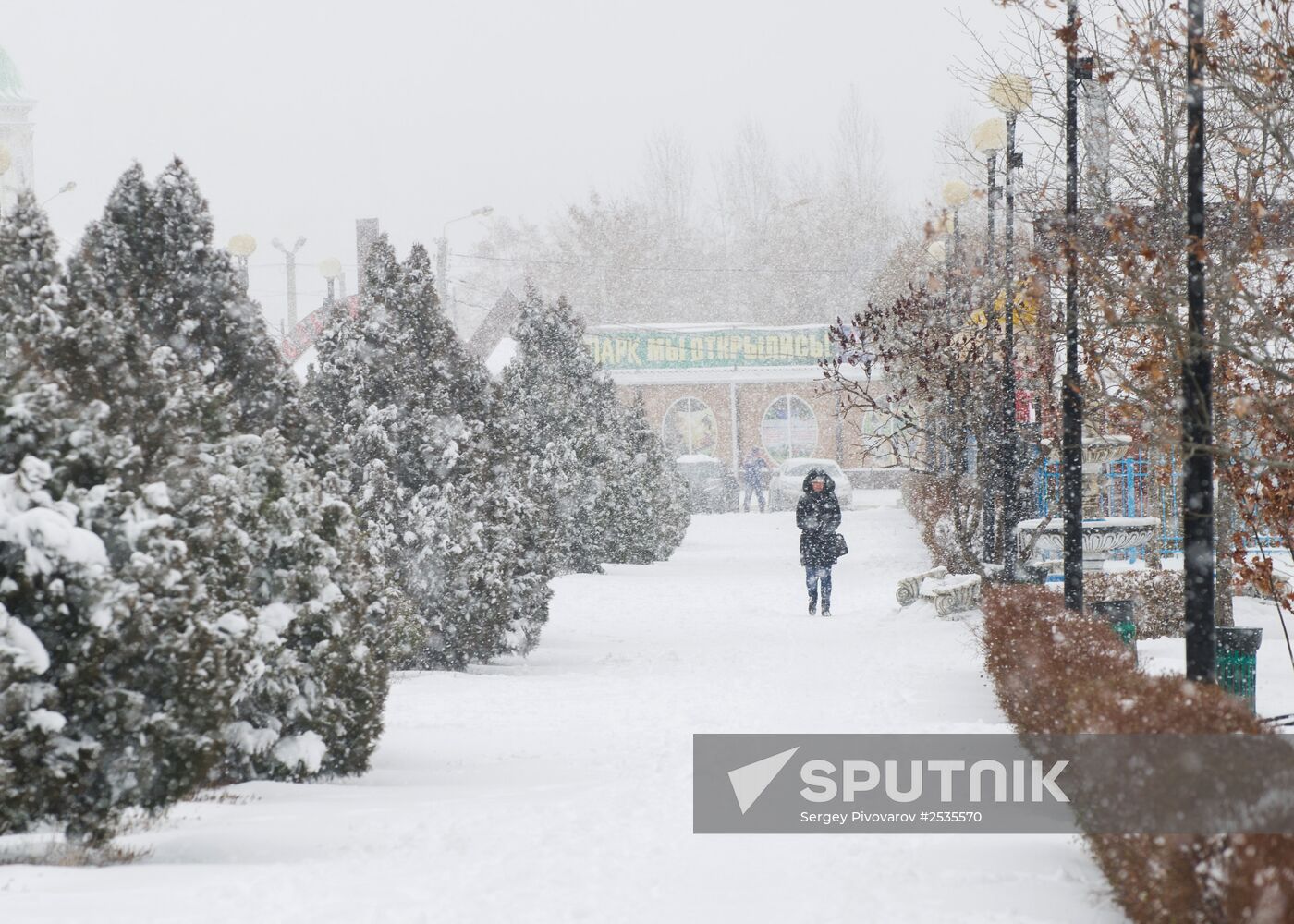 Snowfall in Rostov region