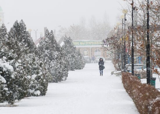 Snowfall in Rostov region