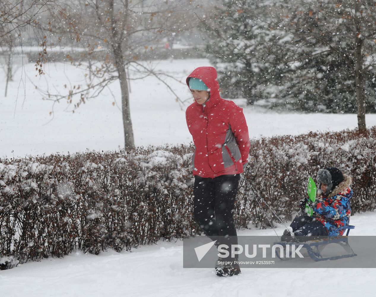 Snowfall in Rostov region