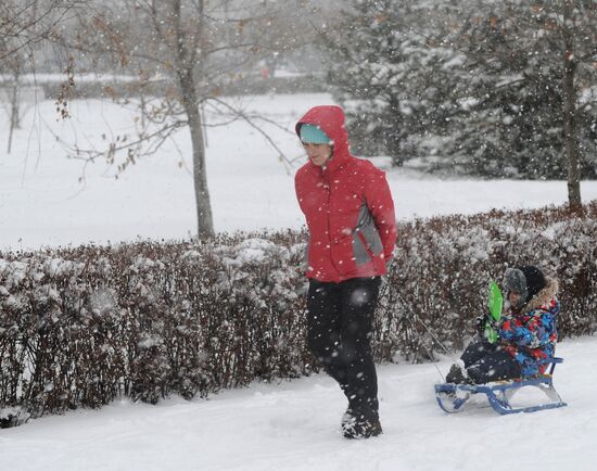 Snowfall in Rostov region