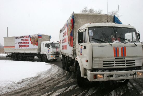 Russia's eighth humanitarian aid convoy arrives in Donetsk