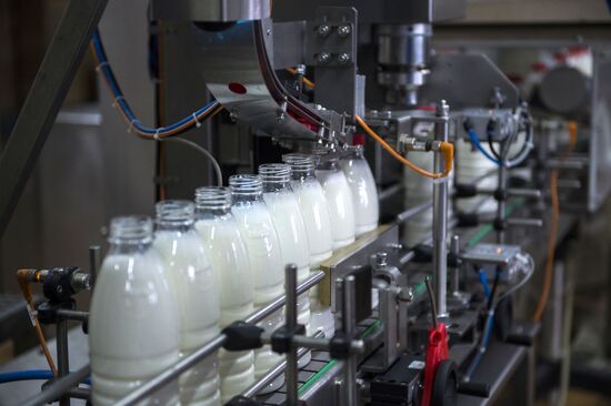 Dairy factory in Omsk