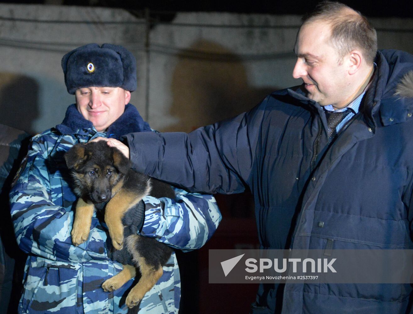 The dog-breeding and training center of the Moscow Metro's police division