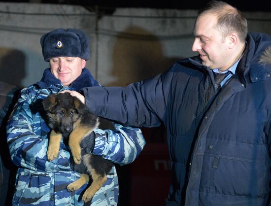 The dog-breeding and training center of the Moscow Metro's police division
