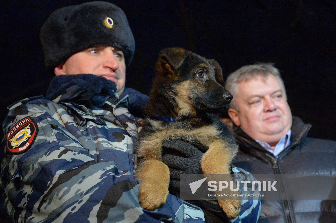 The dog-breeding and training center of the Moscow Metro's police division