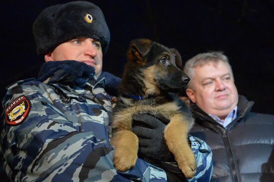 The dog-breeding and training center of the Moscow Metro's police division