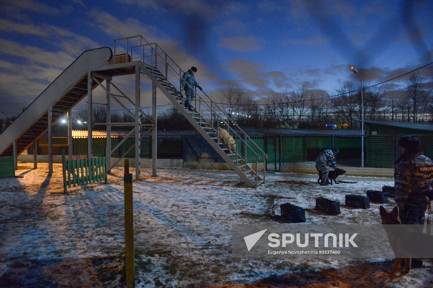 The dog-breeding and training center of the Moscow Metro's police division