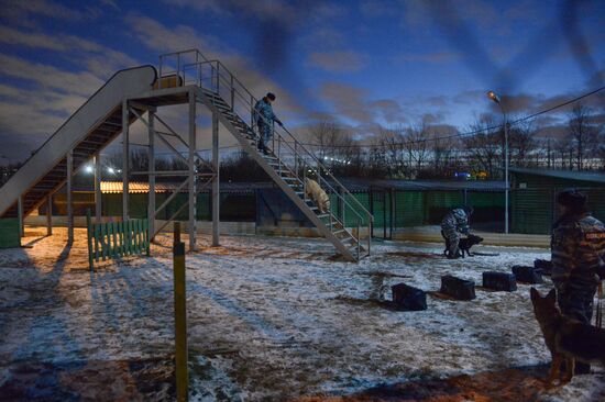 The dog-breeding and training center of the Moscow Metro's police division