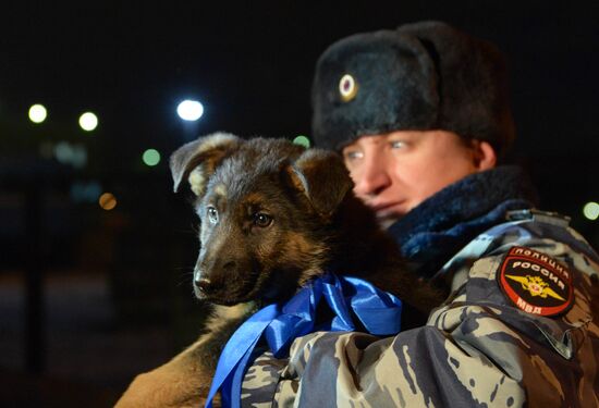 The dog-breeding and training center of the Moscow Metro's police division