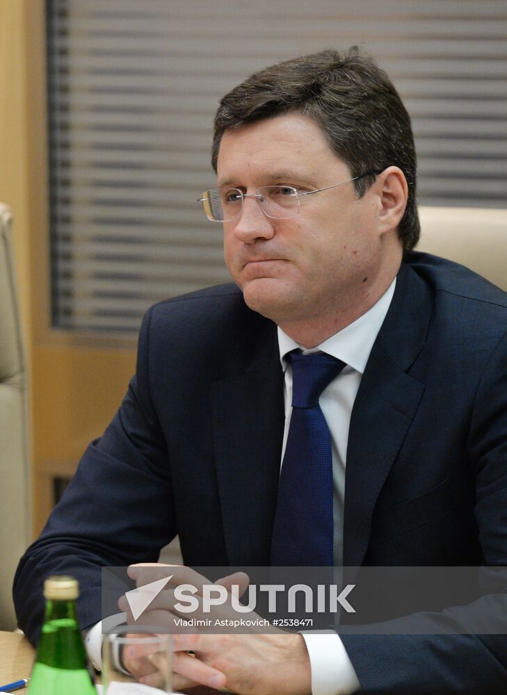 Alexander Novak meets with Pavol Pavlis in Moscow
