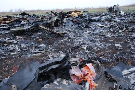 Wreckage of the Malaysian Boeing 777