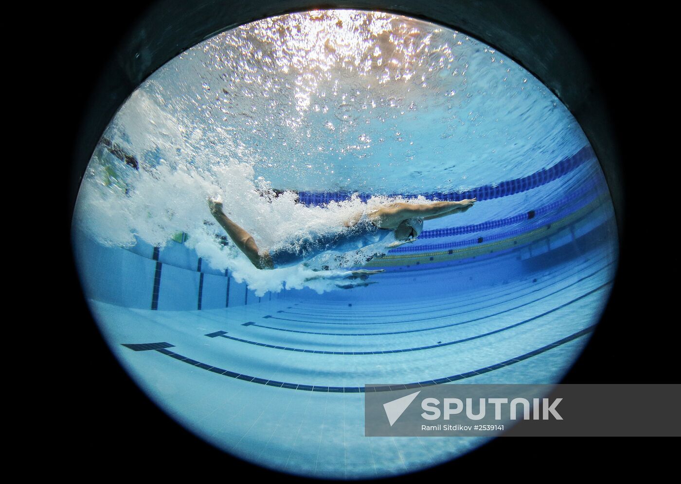 FINA World Swimming Championships (25 m). Day Four