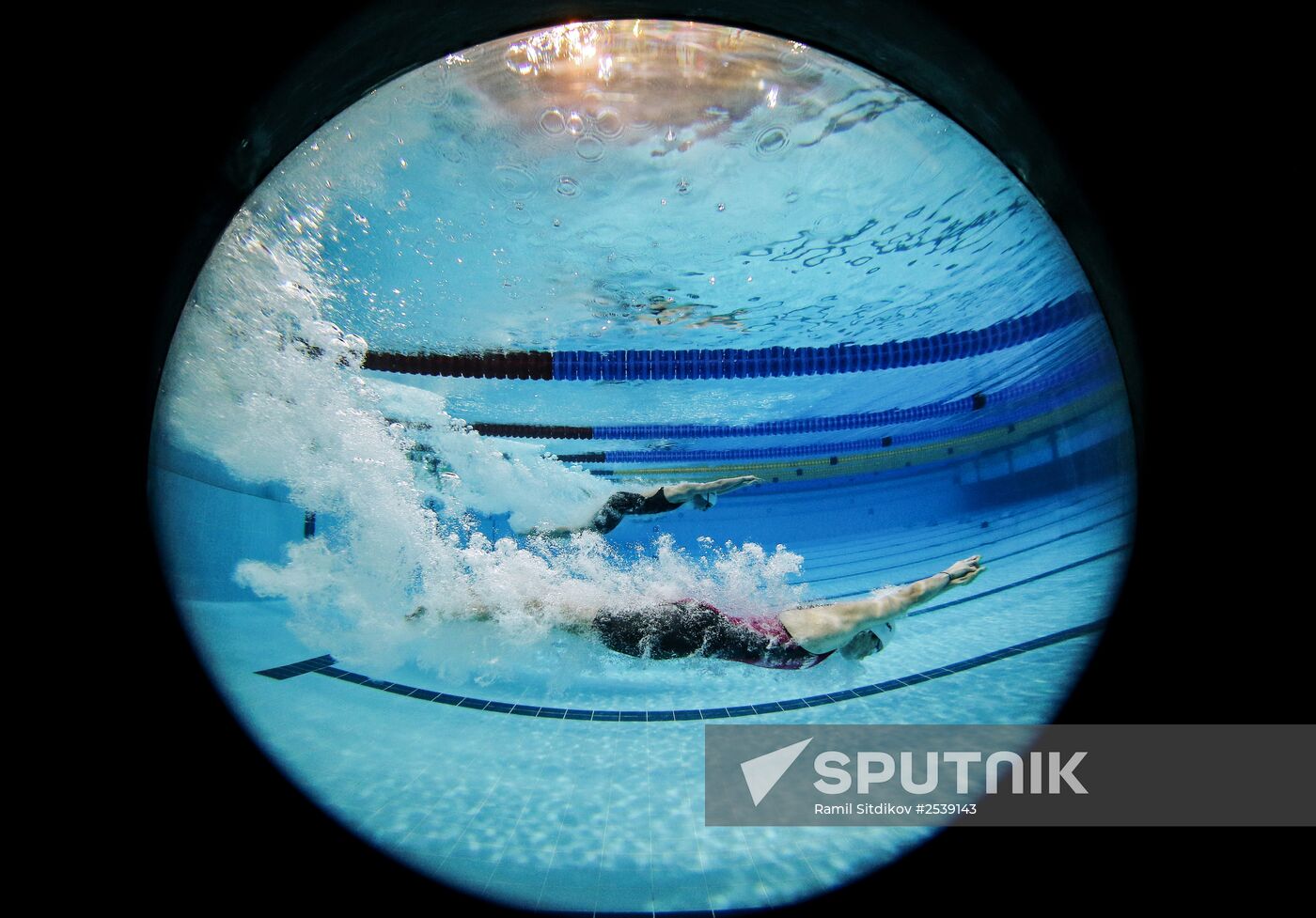 FINA World Swimming Championships (25 m). Day Four