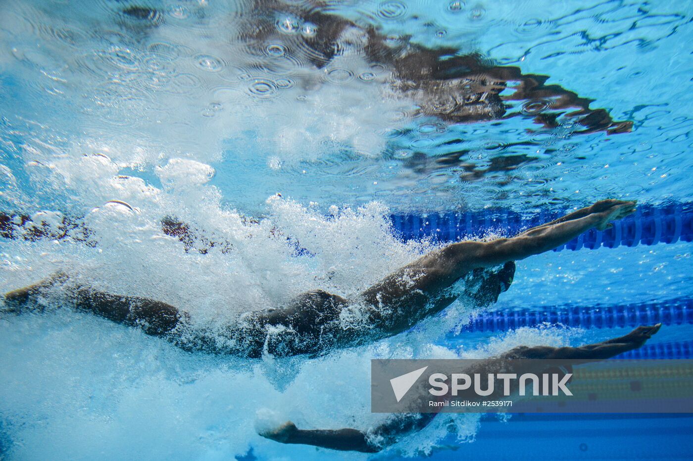 FINA World Swimming Championships (25 m). Day Four
