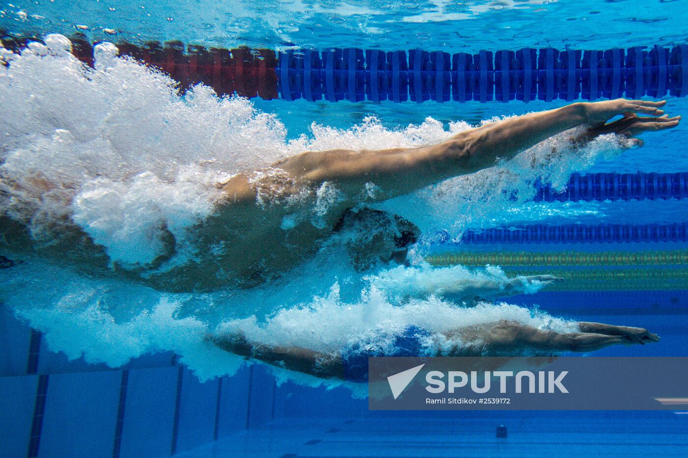 FINA World Swimming Championships (25 m). Day Four