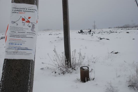 Wreckage of the Malaysian Boeing 777
