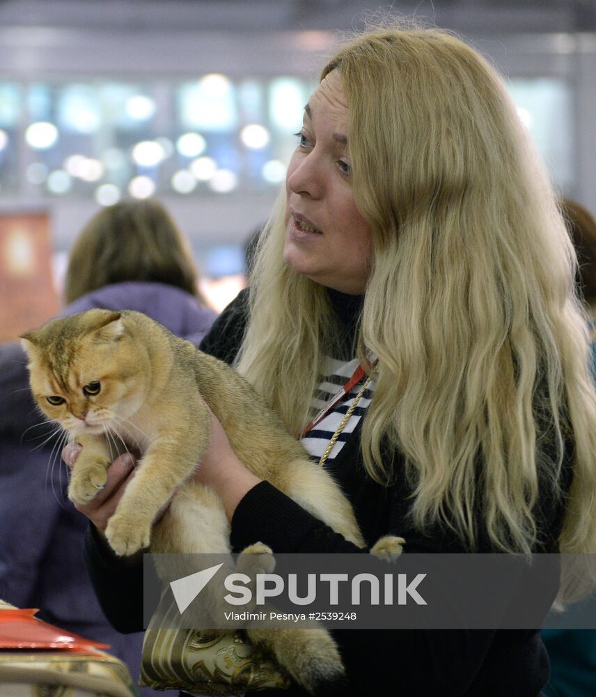 13th International cat show "Grand Prix Royal Canin 2014"