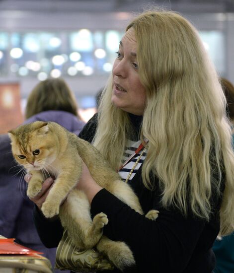 13th International cat show "Grand Prix Royal Canin 2014"