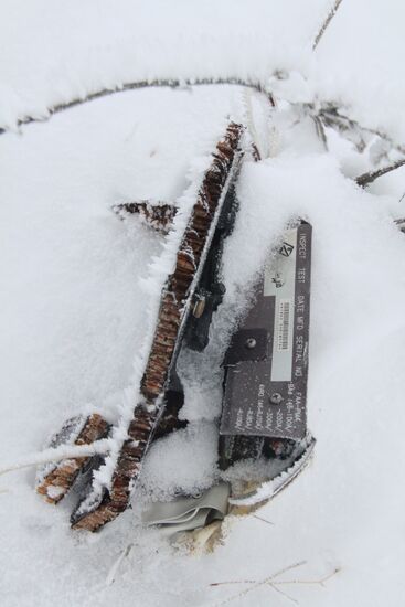 Wreckage of the Malaysian Boeing 777