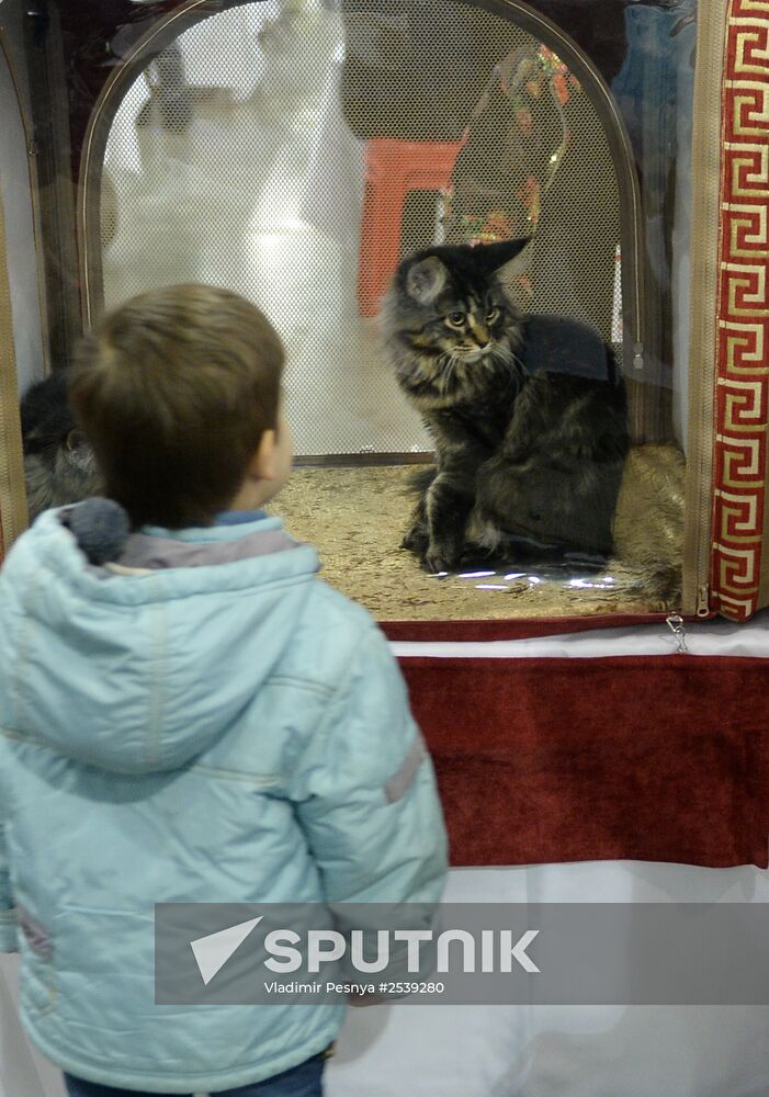 13th International cat show "Grand Prix Royal Canin 2014"