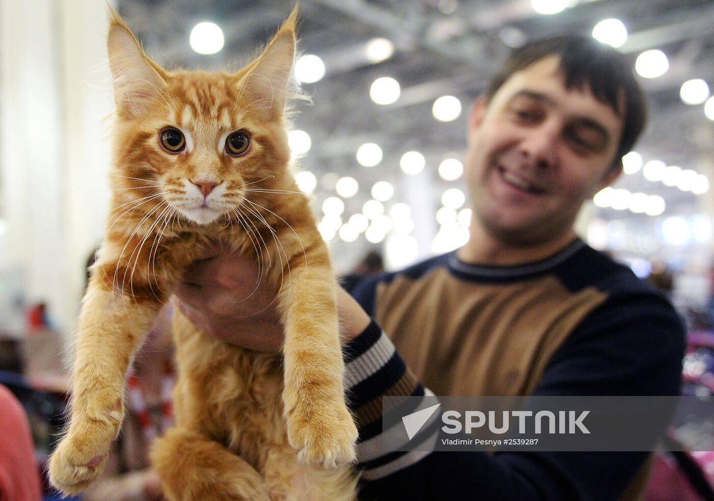 13th International cat show "Grand Prix Royal Canin 2014"