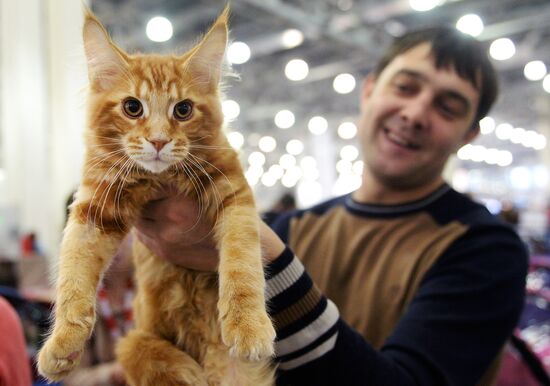 13th International cat show "Grand Prix Royal Canin 2014"