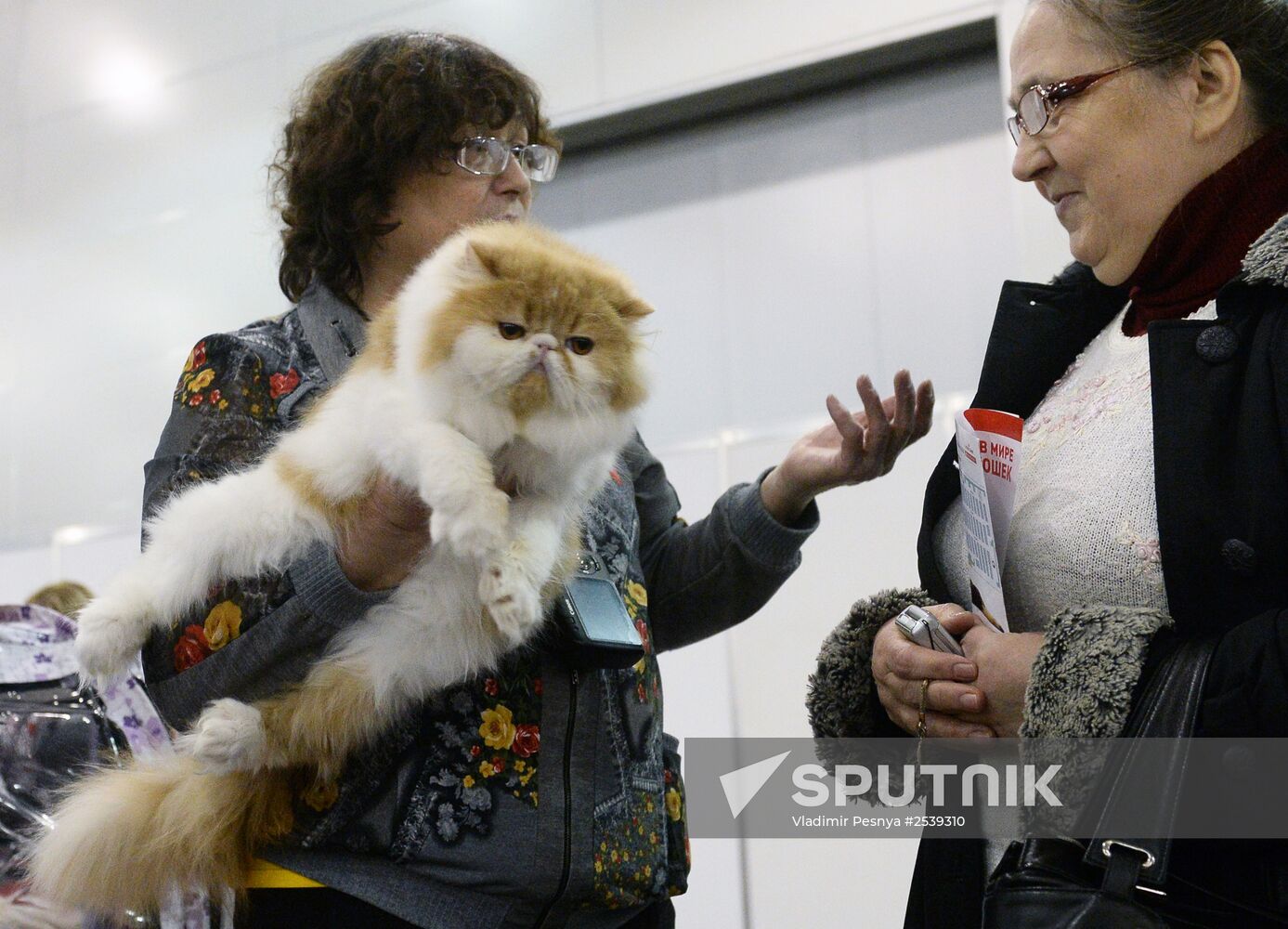 13th International cat show "Grand Prix Royal Canin 2014"