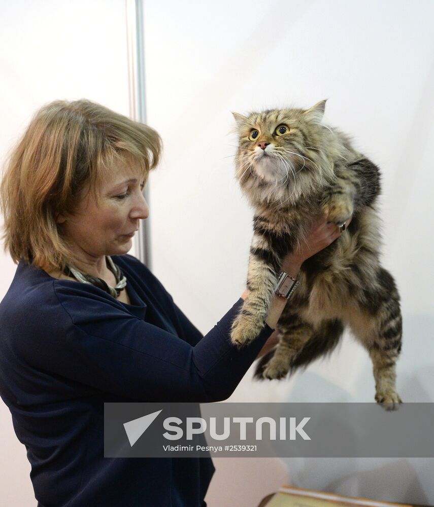 13th International cat show "Grand Prix Royal Canin 2014"
