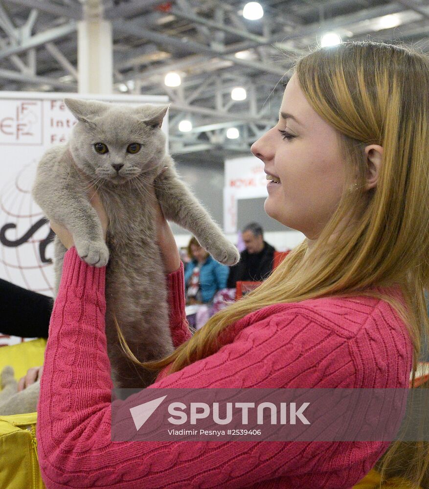 13th International cat show "Grand Prix Royal Canin 2014"