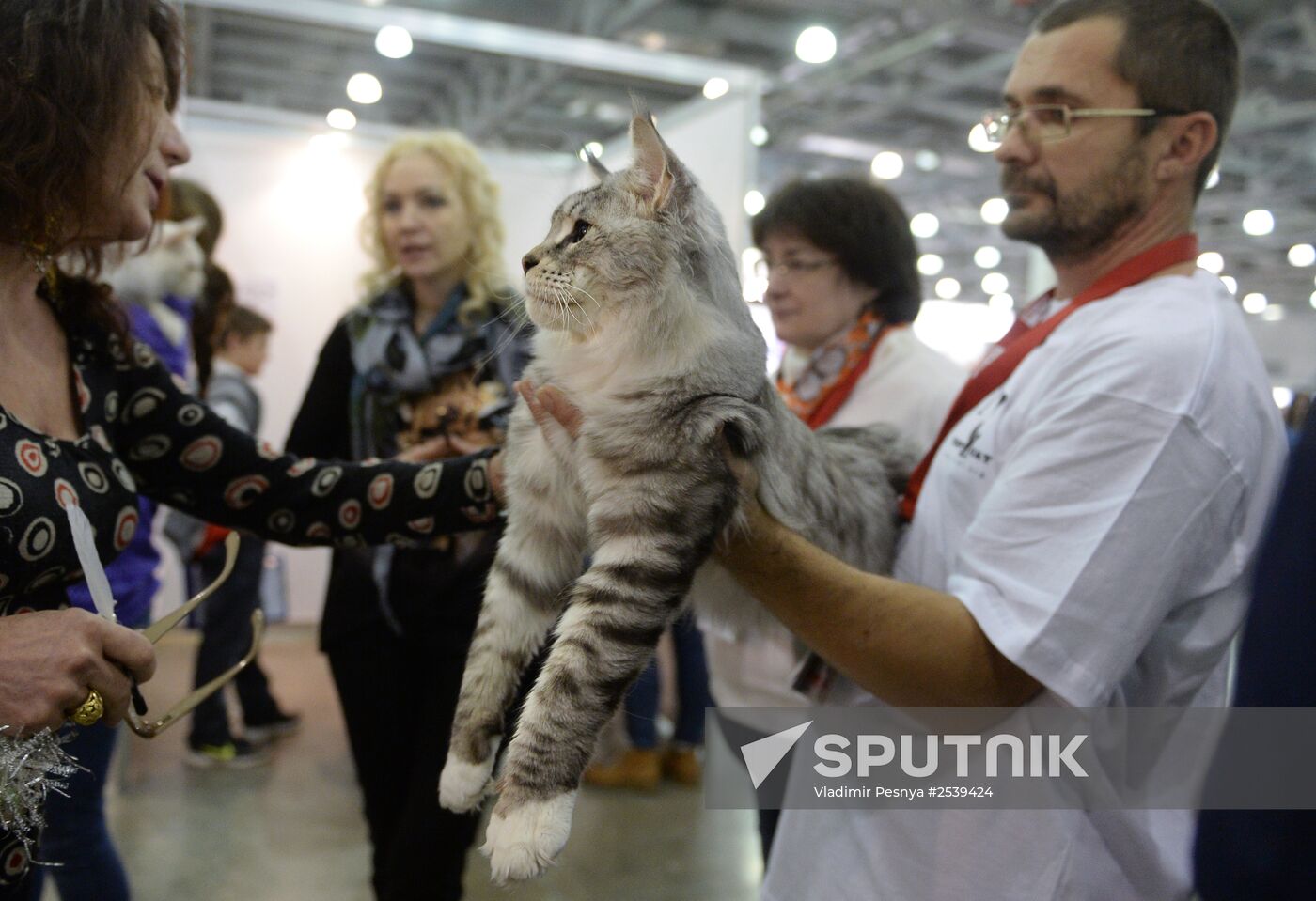 Experts examine the cats at the 13th International Cat Show "Grand Prix Royal Canin 2014" at Moscow's Crocus Expo. Location: Russia, Moscow. Author: Vladimir Pesnya/Sputnik. 13th International cat show "Grand Prix Royal Canin 2014"