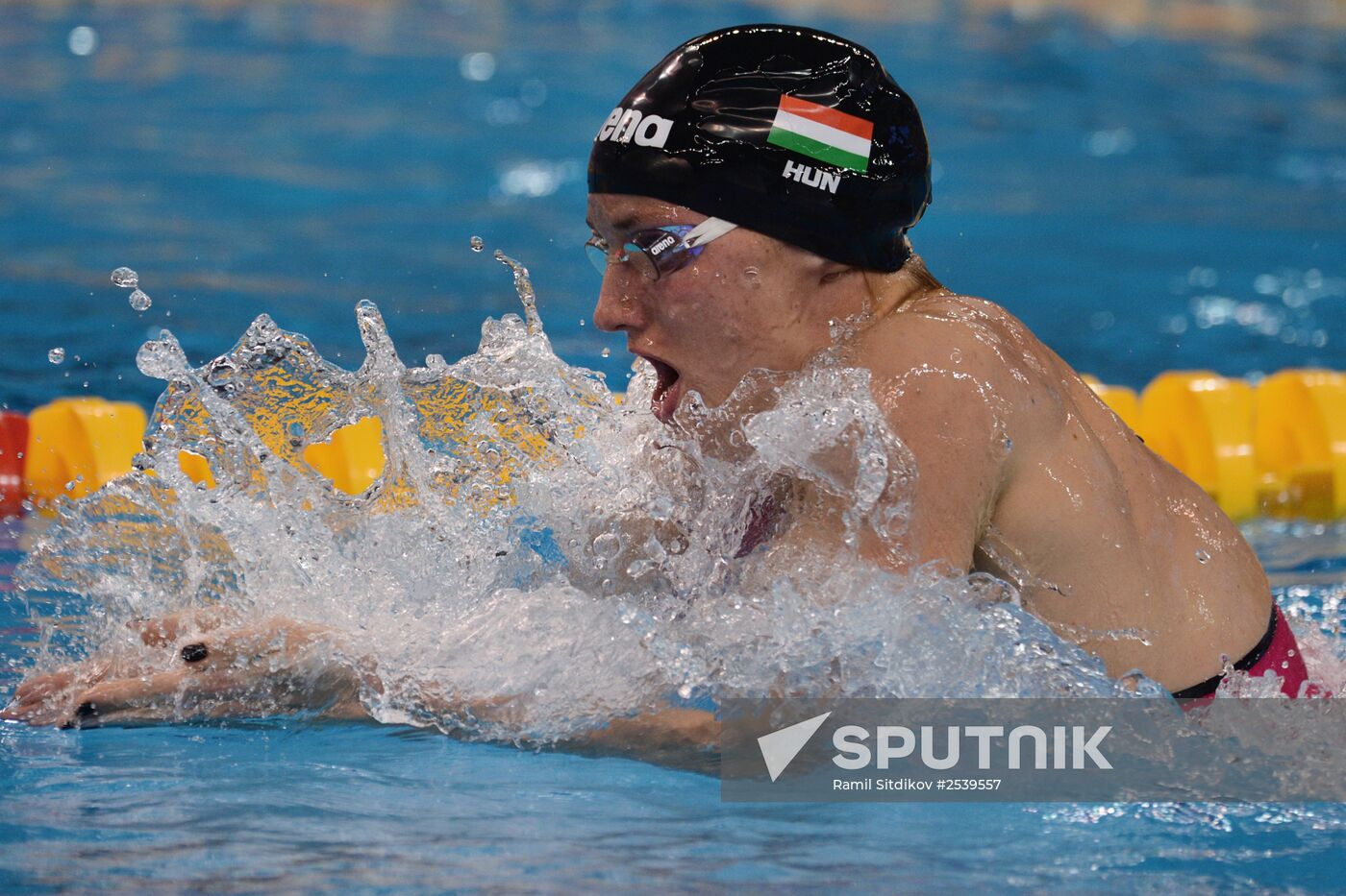 FINA World Swimming Championships (25 m). Day Four