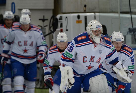 Ice hockey, KHL. Dynamo Moscow vs. SKA