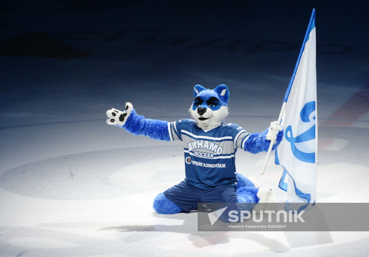 Ice hockey, KHL. Dynamo Moscow vs. SKA