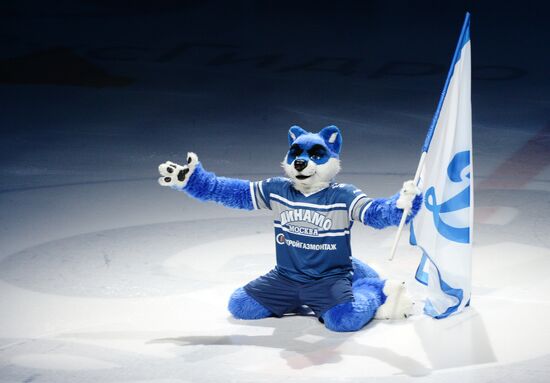 Ice hockey, KHL. Dynamo Moscow vs. SKA