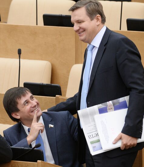 Plenary meeting of the State Duma of the Russian Federation