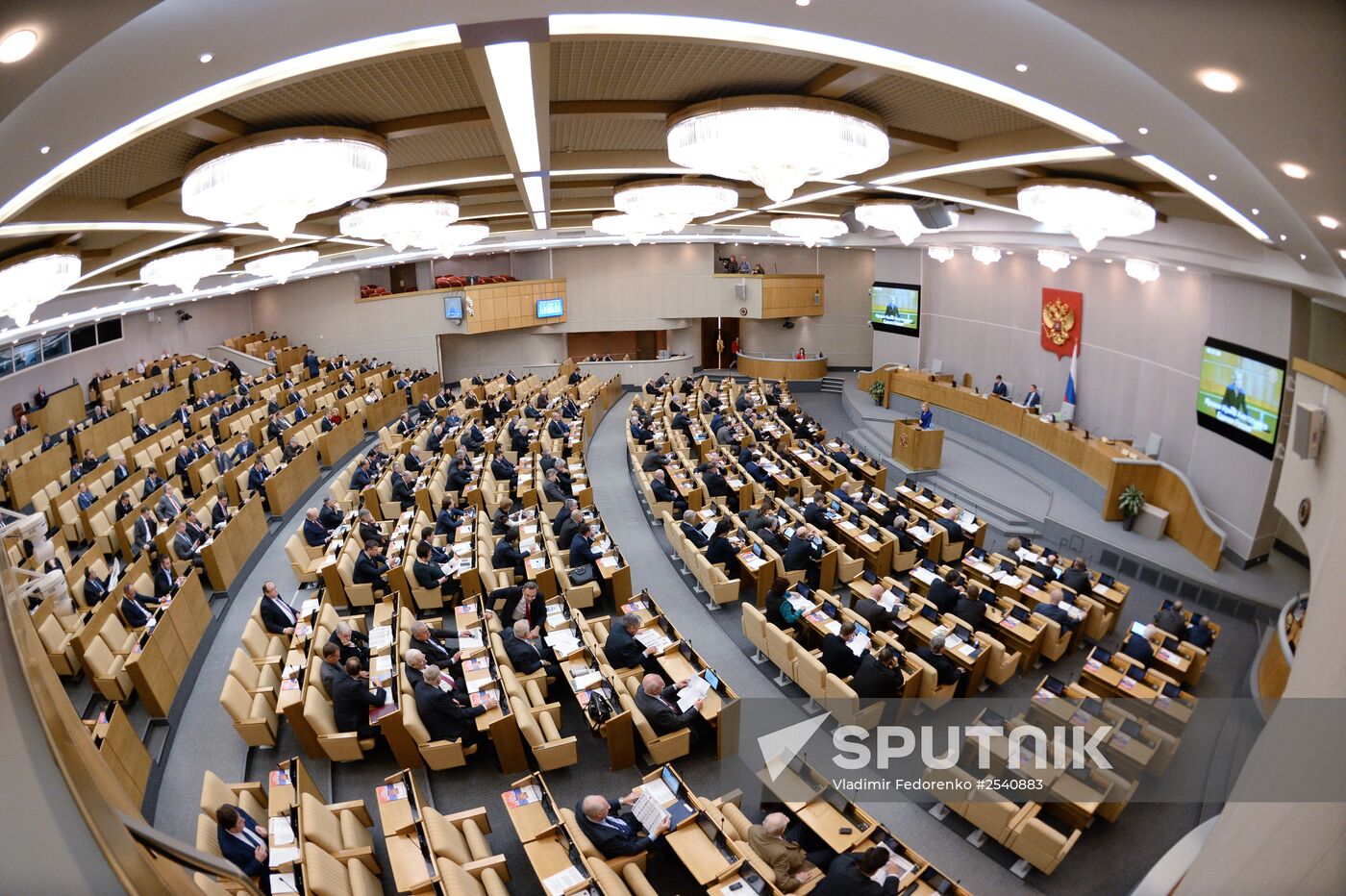 Plenary meeting of the State Duma of the Russian Federation