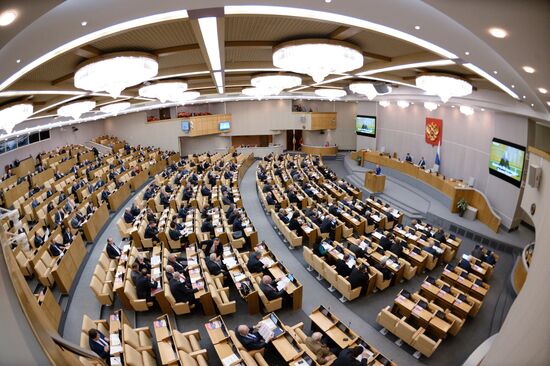 Plenary meeting of the State Duma of the Russian Federation