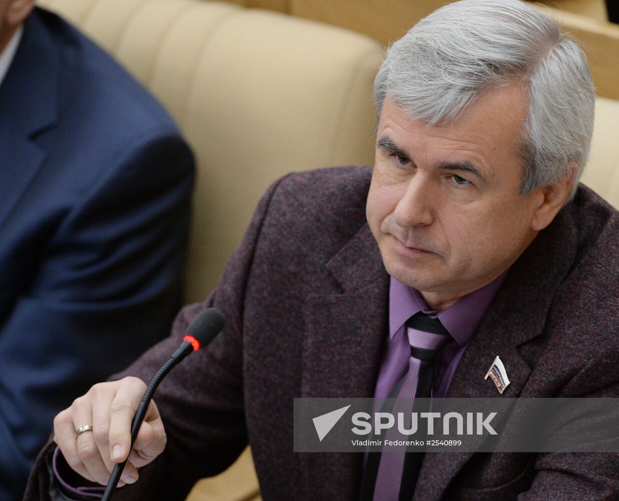 Plenary meeting of the State Duma of the Russian Federation