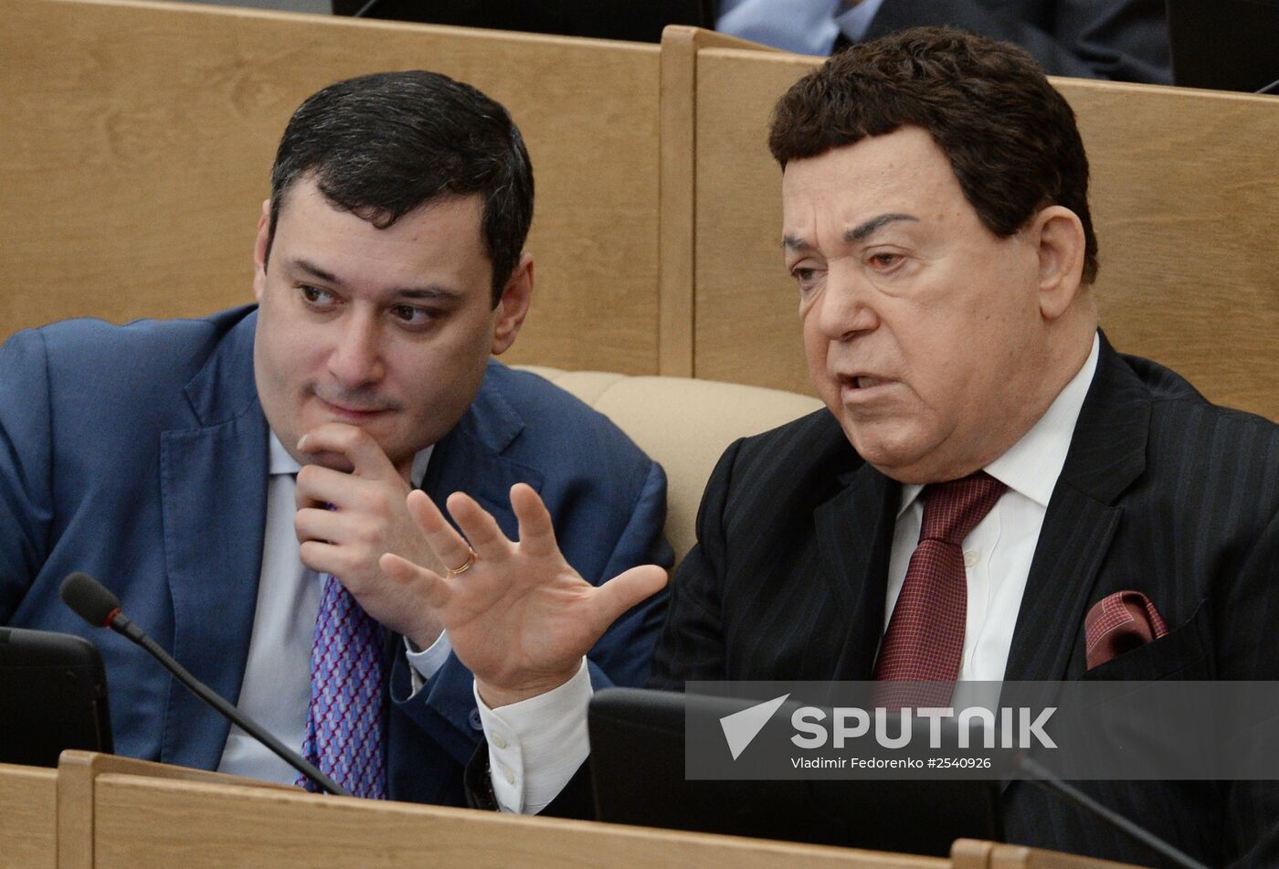 Plenary meeting of the State Duma of the Russian Federation