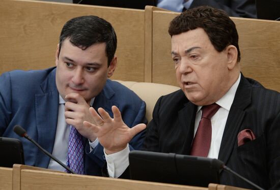 Plenary meeting of the State Duma of the Russian Federation