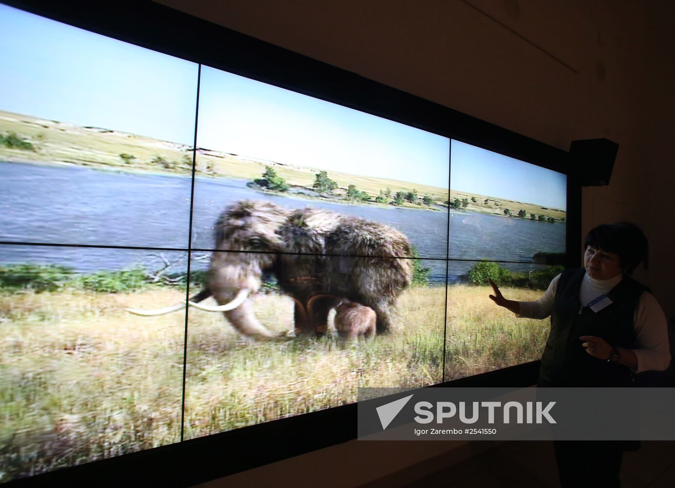 Yamal mammoth Lyuba