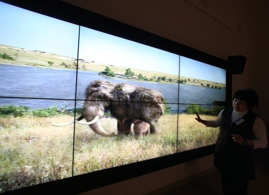 Yamal mammoth Lyuba