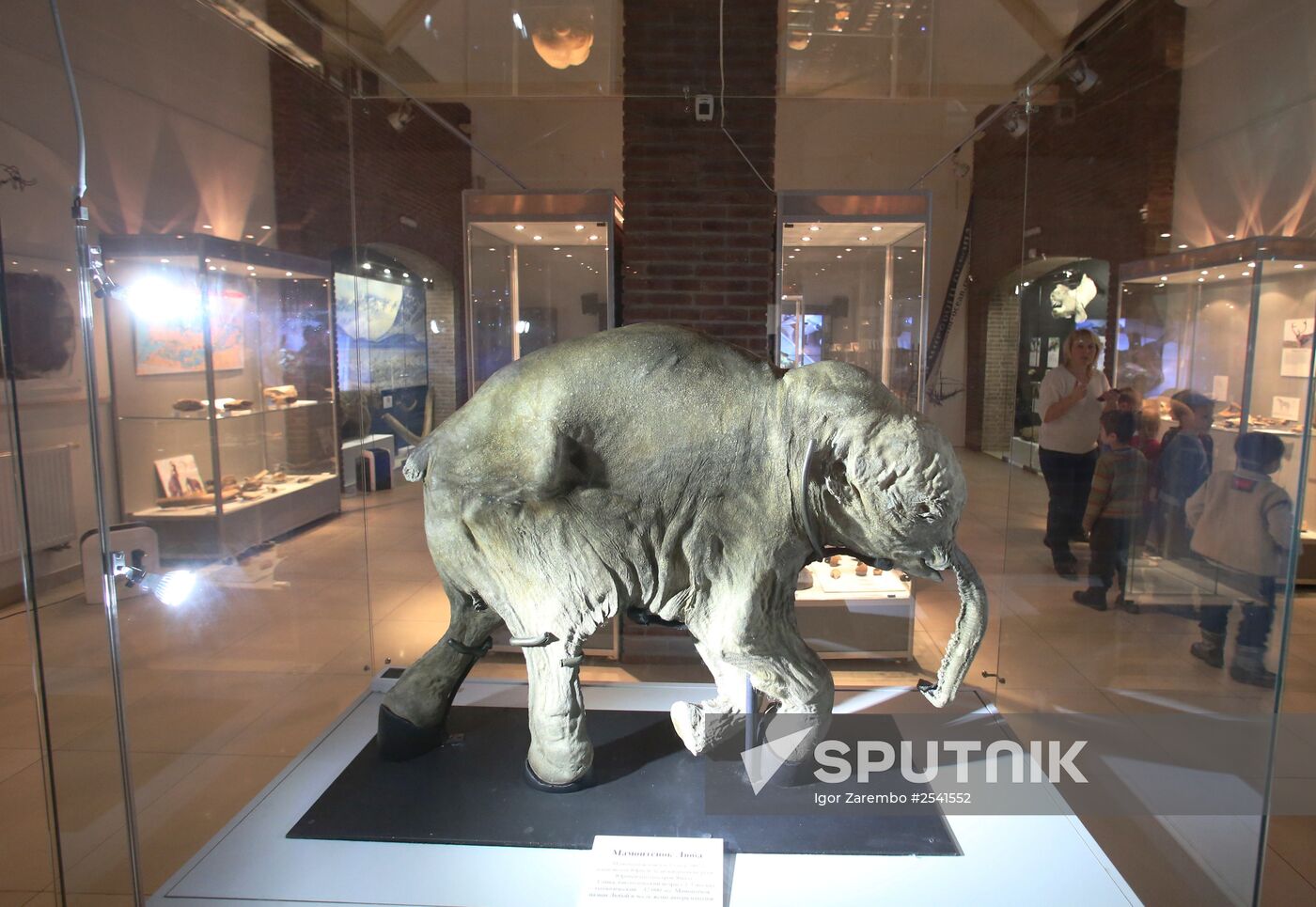 Yamal mammoth Lyuba