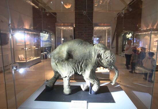 Yamal mammoth Lyuba