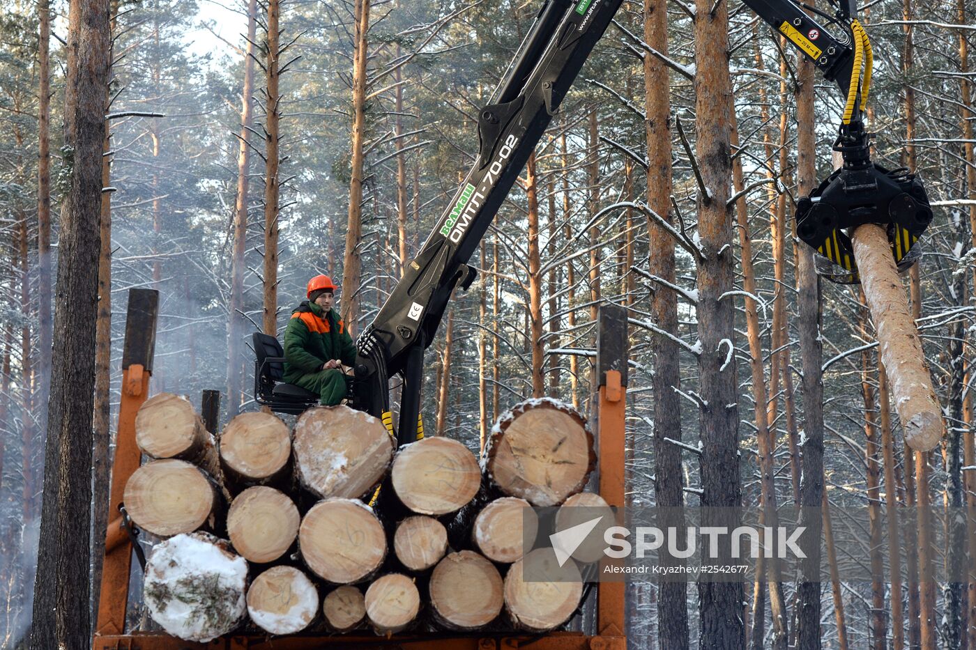 Logging in Altai Territory